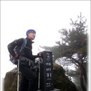 신강남 이미지