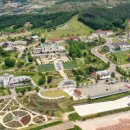 구워먹는 임실치즈 이미지