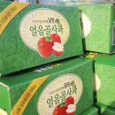 아람농원 | 밀양 얼음골 사과 아람농원에서 택배 배송 후기