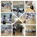 나무향기태권도장 이미지