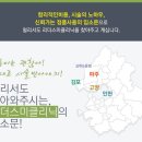 리더스미피부과 네이버블로그