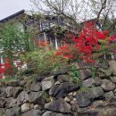 시골놀이터 이미지