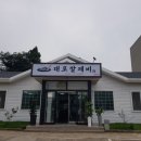 대포칼제비 이미지