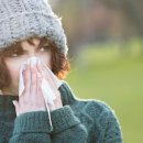 시그니아 독일보청기 광산센타 이미지