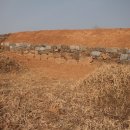 주식회사 비인