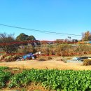 [국도32] 당진시 거산리 이미지