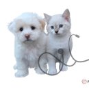 하나로동물약품 이미지