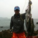 갯바위민박 이미지