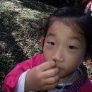 사라유치원 이미지