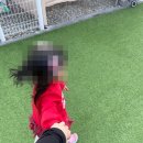 서울 근교 캠핑장 봄나들이! 양평 비앙드팜 바베큐 피크닉