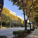수도녹지사업소 | 상계주공 재건축 속도 임장후기 그래서 몇단지 사라고