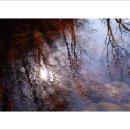 [잠언 12장] ⊙ 악은 인생이라는 건축물을 무너뜨리는 치명적인 독소입니다 (20251017) 이미지