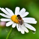 율곡수목원(2) 이미지