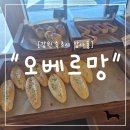 "강원 속초시" 속초 빵 맛집 오베르망, 통명란빵과 바다뷰까지 완벽했던 후기
