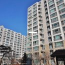 송화 우미 이미지