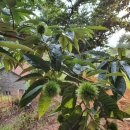 나래농장 이미지