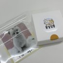 몽실 | 진주애견미용잘하는곳 몽실살롱 포메 미용 후기 (충무공동애견미용)