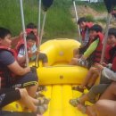 고제초등학교 이미지