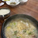 신가네 티스토리