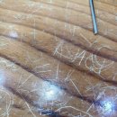 김군세차장 이미지