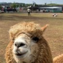 새별수산 이미지