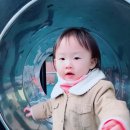 새서원어린이집 이미지