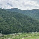 설악호텔 미송 이미지