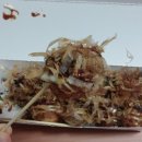 오사카타코야키(매탄아대점) 네이버블로그