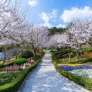 남해-298 이미지