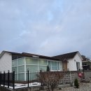 가정 | 말티푸 가정견분양 후기 정순정 가정켄넬