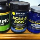 프로스타웨이. <b>슈레피</b>얼 아미노 팝니다