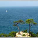 강샘기획 이미지