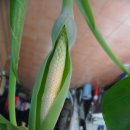 송림세탁소 이미지