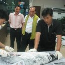 동남카인테리어 이미지