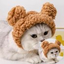 작은언니네 이미지