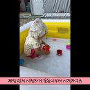 소이 여름방학입니다^^ 이미지