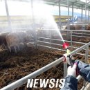 용인축협 한우사육장 이미지