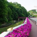 동향면행정복지센터 이미지