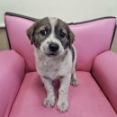 안골로108번길 이미지