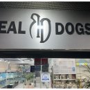 멍품 강아지분양 본점 | [ 일산 강아지분양 ] 처음이라 더 신중했던 선택, REAL DOGS 강아지분양 일산본점 방문 후기