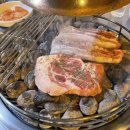 엠제이돼지