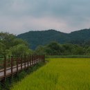 백제가요정읍사오솔길(2코스 내장호 수변데크) 뉴스1