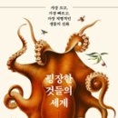 매슈포유 이미지