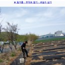 SK부동산컨설팅 이미지