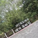 아미리1.9 이미지