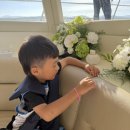 앤투어 - 김해시 내외중앙로 30 | 부산 기장 놀거리 추천 / ‘보트앤’ 퍼블릭 투어 후기
