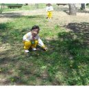 성분도어린이집 이미지