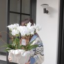 고희연농장 이미지