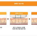 건대톡스앤필의원 이미지