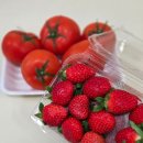 유명청과 | 구미 새마을중앙시장 과일가게 사계절청과 신선도 최고 딸기 토마토